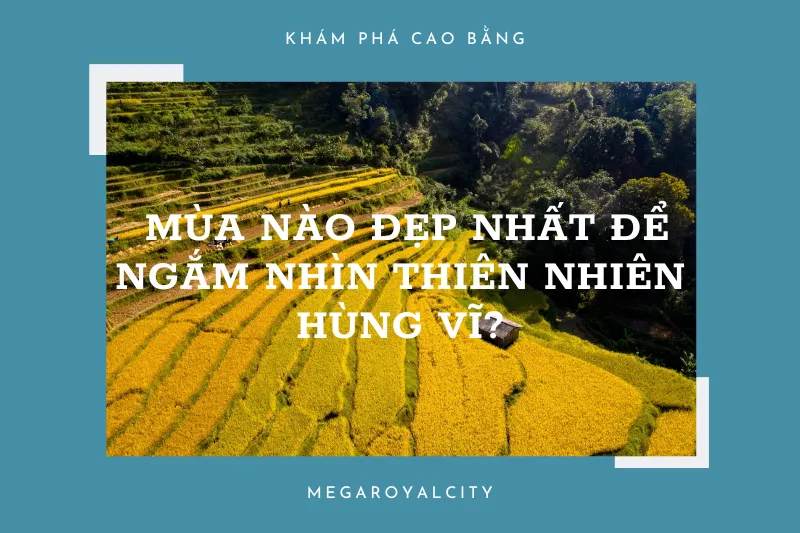 Khám phá Cao Bằng: Mùa nào đẹp nhất để ngắm nhìn thiên nhiên hùng vĩ