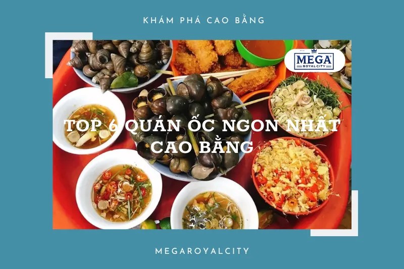 Top 6 quán ốc ngon nhất Cao Bằng: Ăn là ghiền ngay