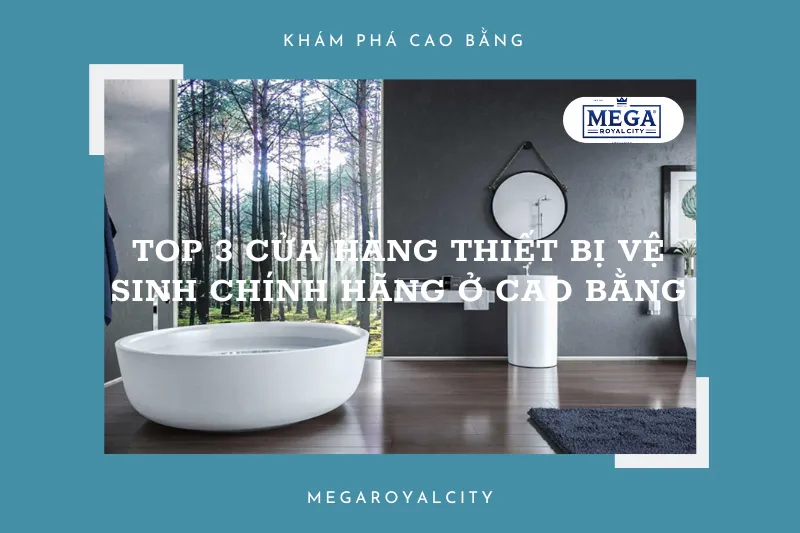 Tìm thiết bị vệ sinh phù hợp? Khám phá ngay top 3 địa chỉ uy tín