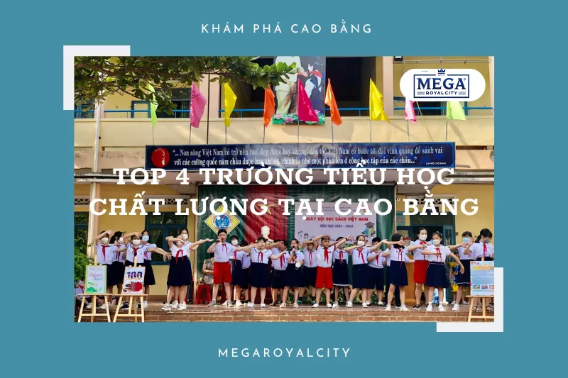 Khám phá top 4 trường tiểu học hàng đầu tại Cao Bằng: Đảm bảo chất lượng giáo dục