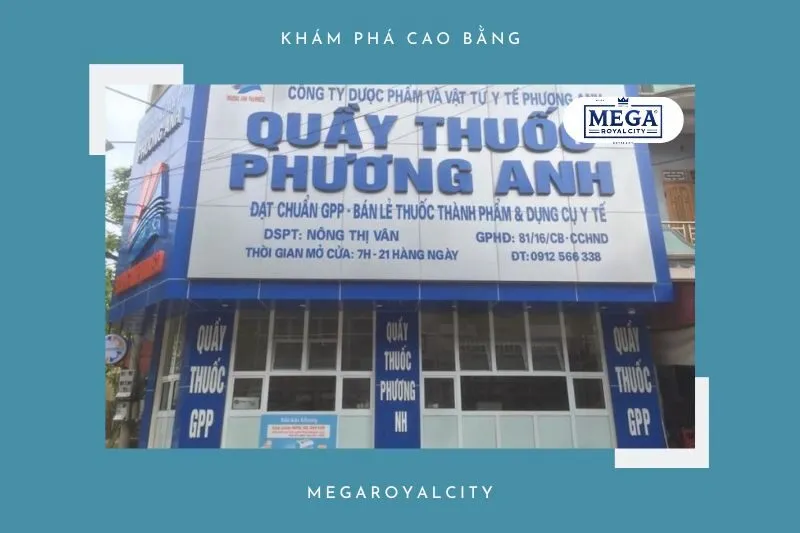 Công ty dược phẩm và vật tư y tế Phương Anh