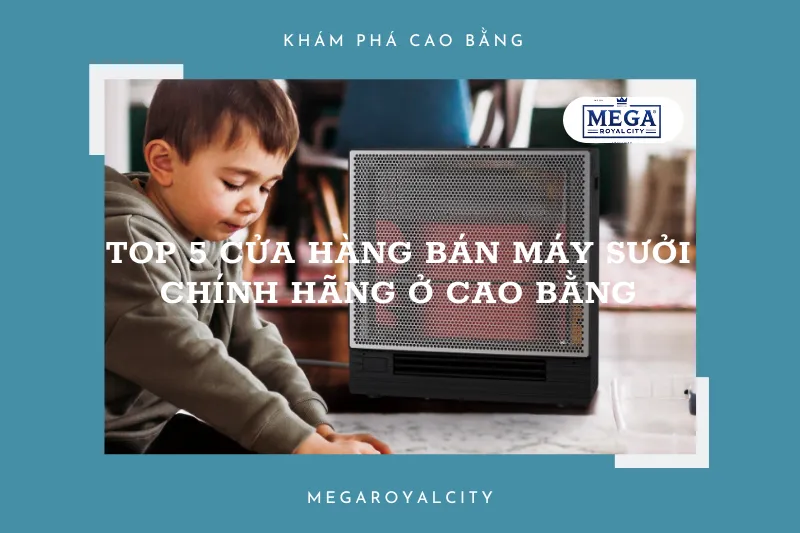 Tìm máy sưởi phù hợp? Khám phá ngay top 5 địa chỉ uy tín