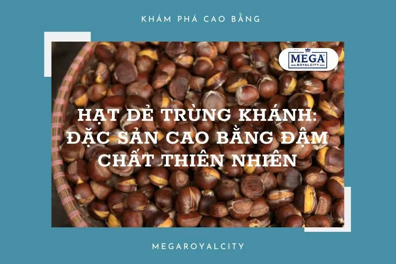 Hạt dẻ Trùng Khánh: Đặc sản Cao Bằng đậm chất thiên nhiên và địa điểm mua uy tín