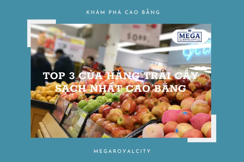 Top 3 cửa hàng trái cây sạch uy tín nhất Cao Bằng: Đảm bảo sức khỏe cho gia đình