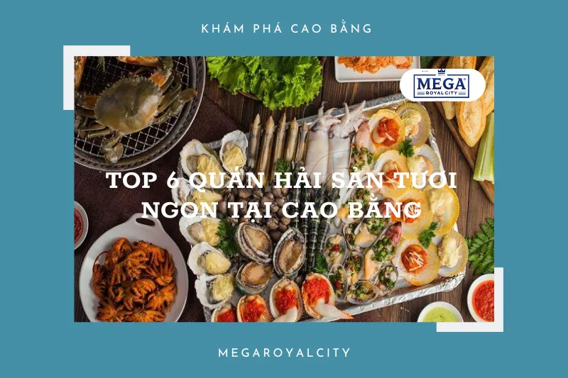 Khám phá thiên đường hải sản Cao Bằng: Top 6 quán ngon nhất không thể bỏ qua